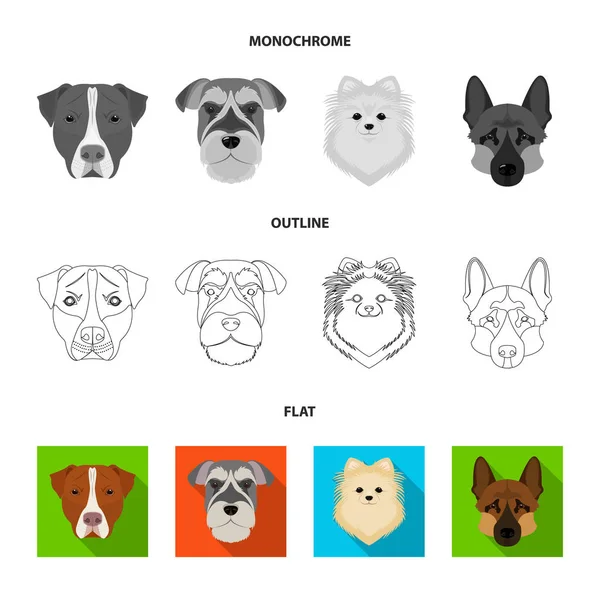 Snuit van verschillende rassen van honden. Hond fokken Stafford Spitz, Risenschnauzer, Duitse herder set collectie iconen in flat, overzicht, zwart-wit stijl vector symbool stock illustratie web. — Stockvector