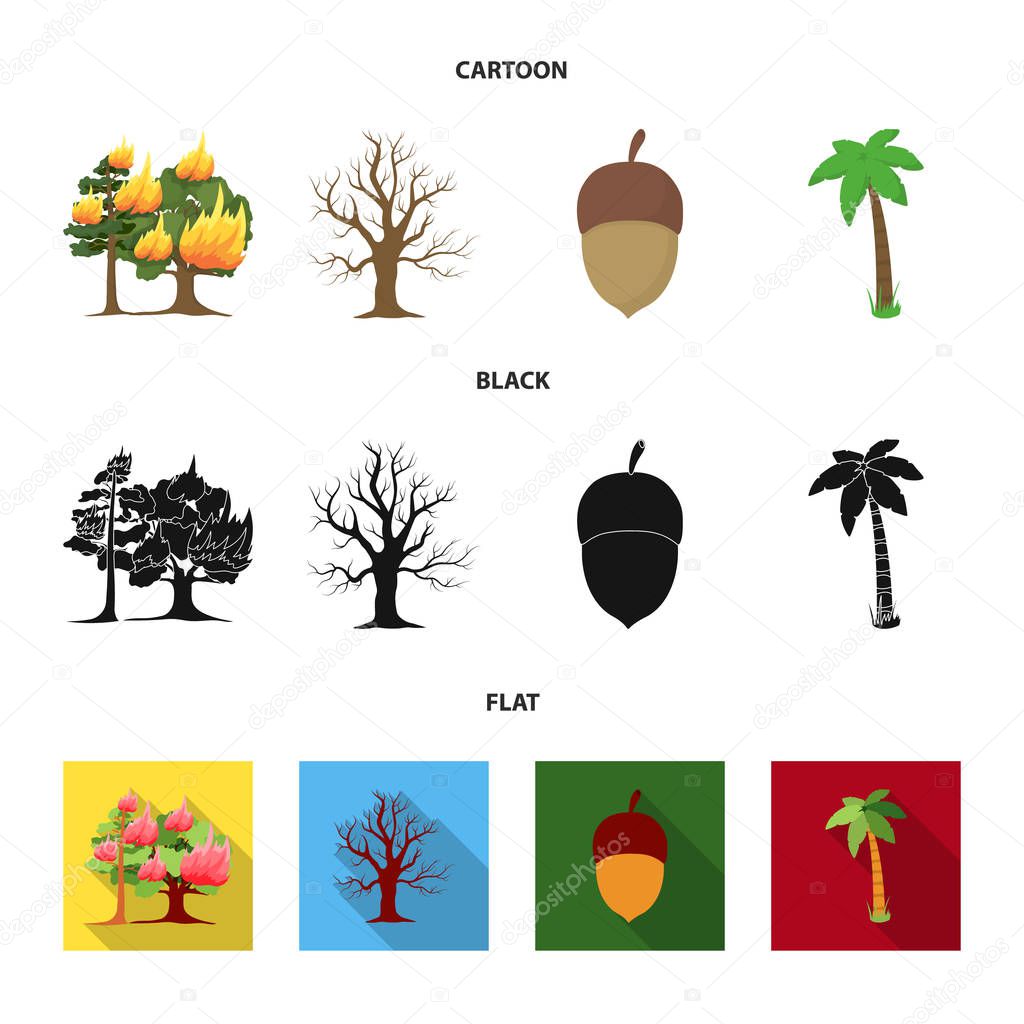 Burning tree, palm, acorn, dry tree.Forest set collection icons in cartoon,black,flat style vector symbol stock illustration web.