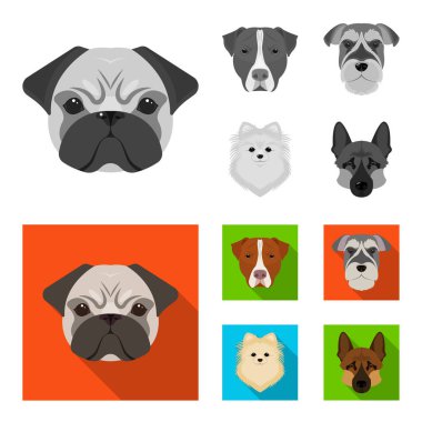 Farklı doğurmak-in köpek ağızlık. Köpek doğurmak Stafford, Spitz, Risenschnauzer, Alman çoban köpeği tek renkli, düz stil vektör simge stok çizim web simgeler ayarla.