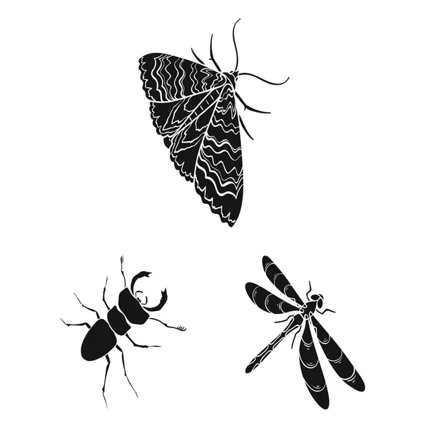 Verschiedene Arten von Insekten schwarze Symbole in Set Sammlung für Design. Insekt Arthropoden Vektor isometrisches Symbol Stock Web Illustration. — Stockvektor
