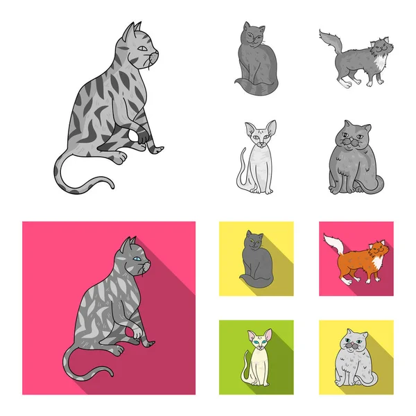 สฟิงซ์ นีลยอง แมวป่านอร์เวย์ และสายพันธุ์อื่นๆ สายพันธุ์แมวตั้งไอคอนสะสมในสีเดียว, สัญลักษณ์เวกเตอร์สไตล์แบน . — ภาพเวกเตอร์สต็อก