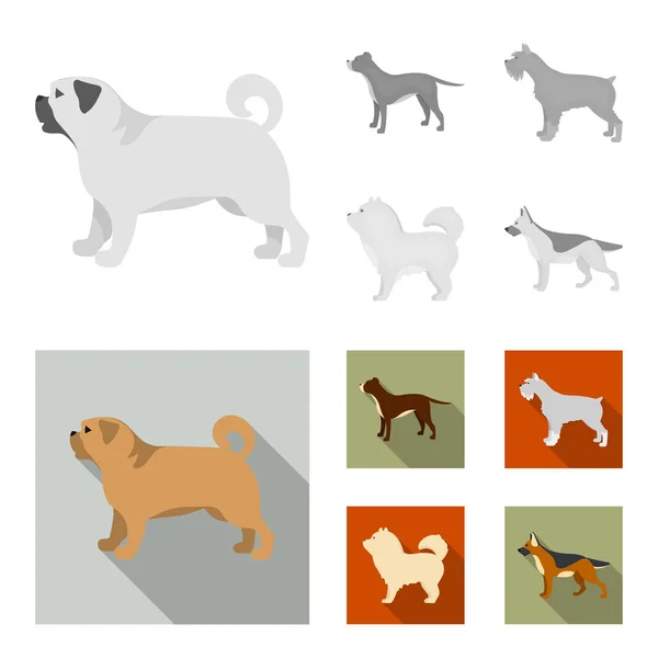 Pit bull, pastor alemán, chow chow, schnauzer. Perro razas conjunto colección iconos en monocromo, plano estilo vector símbolo stock ilustración web . — Archivo Imágenes Vectoriales