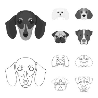 Farklı doğurmak-in köpek ağızlık. Köpek doğurmak dachshund, fino, beagle, pug anahat, tek renkli stil vektör simge stok çizim web toplama simgeler ayarla.