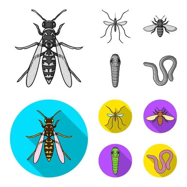 Worm, centipede, wasp, bee, hornet .Insects set collection icons in monochrome,flat style vector symbol stock illustration web. — Stock Vector