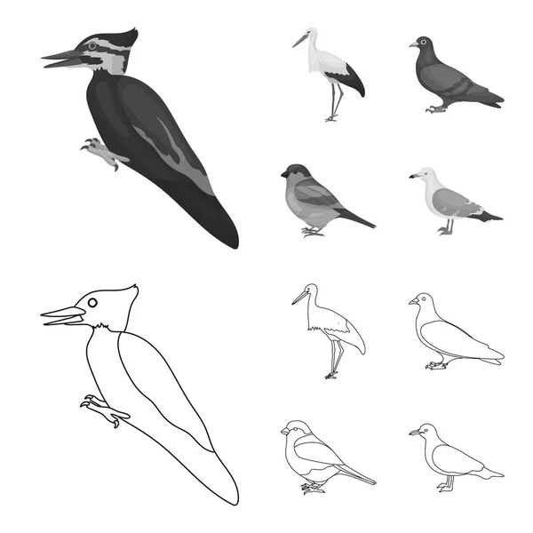 キツツキ、コウノトリなど。鳥は、アウトライン、モノクロ スタイル ベクトル シンボル ストック イラスト web でコレクションのアイコンを設定します。. — ストックベクタ