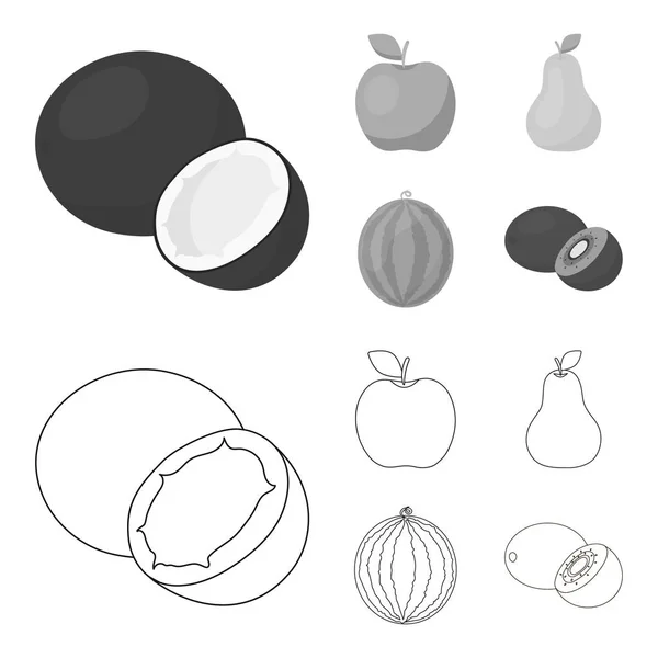 Coco, maçã, pêra, melancia. Ícones de coleção de conjuntos de frutas em esboço, estilo monocromático símbolo vetorial ilustração web . — Vetor de Stock