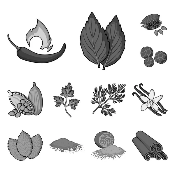 Ícones monocromáticos de ervas e especiarias na coleção de conjuntos para design.Different tipos de seasonings símbolo vetorial web ilustração . — Vetor de Stock