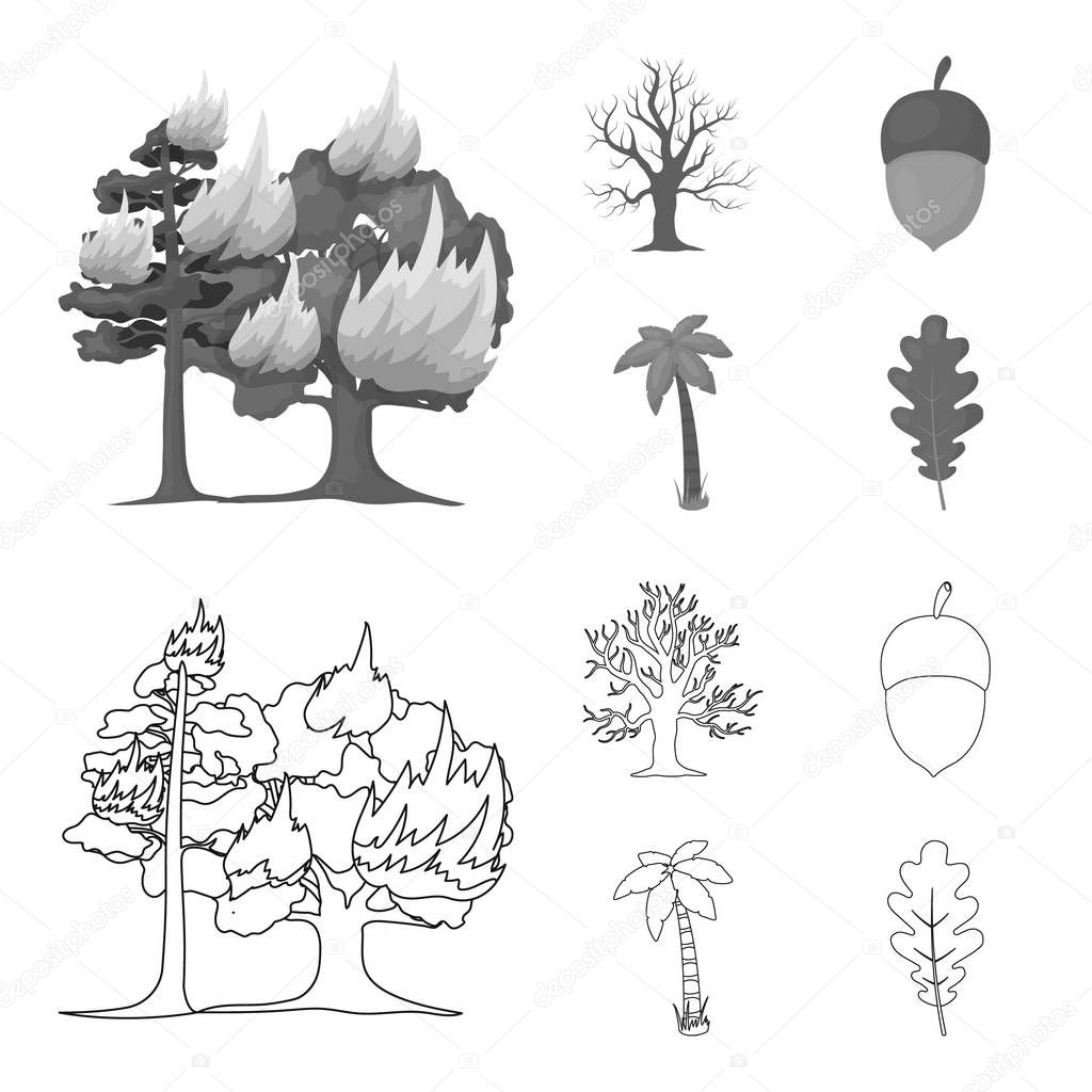 Burning tree, palm, acorn, dry tree.Forest set collection icons in outline,monochrome style vector symbol stock illustration web.