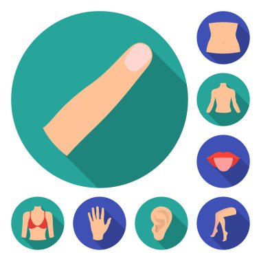 Vücut, bacak set koleksiyonu tasarım için düz simgeleri parçası. İnsan anatomisi vektör simge stok web çizimi.