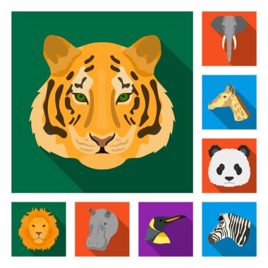 Set koleksiyonu tasarım için vahşi hayvan düz simgeler. Mammal ve kuş sembol stok web illüstrasyon vektör.