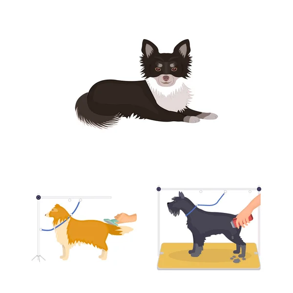 Ícones de desenhos animados para animais de estimação na coleção de conjuntos para design. Cuidados e educação símbolo vetor web ilustração . — Vetor de Stock