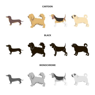Pikinise, dachshund, pug, peggy. Köpek ırkları toplama simgeler çizgi film, siyah, tek renkli stil vektör simge stok çizim web içinde ayarla..