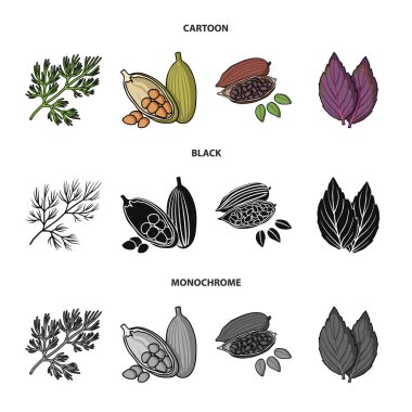 Dereotu, kakao çekirdekleri, fesleğen. Otlar ve baharatlar toplama simgeler çizgi film, siyah, tek renkli stil vektör simge stok çizim web ayarla.