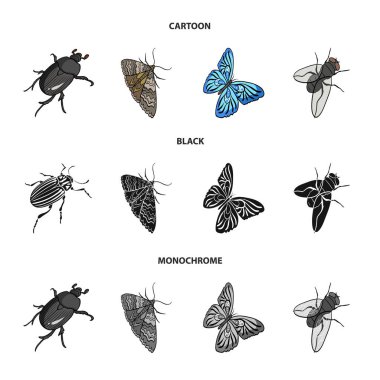 Eklembacaklılar böcek böcek, güve, kelebek, sinek. Böcekler toplama simgeler çizgi film, siyah, tek renkli stil vektör simge stok izometrik çizim web içinde ayarla..