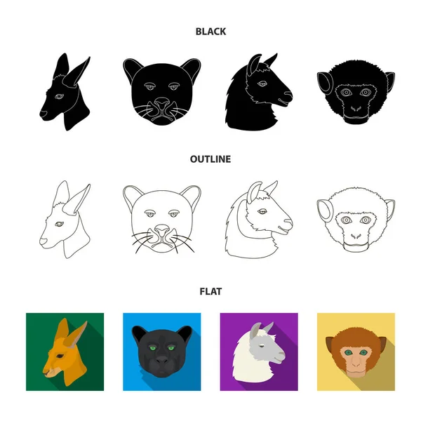 Kangury, lamy, małpy, panther, realistyczne zwierząt kolekcja zestaw ikon w czarne, płaskie, www ilustracji symbol wektor zarys styl. — Wektor stockowy