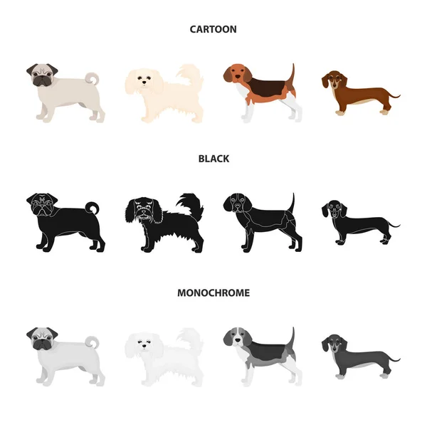 Cane razze cartone animato, nero, icone monocromatiche in collezione set per il design. animale domestico cane vettore simbolo stock web illustrazione . — Vettoriale Stock