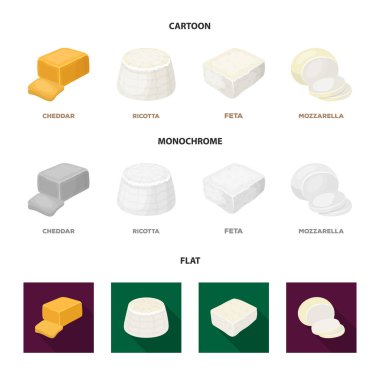 Mozzarella peyniri, beyaz peynir, kaşar peyniri, ricotta. Çizgi film, düz içinde peynir set simgeler farklı türlerde, tek renkli stil vektör simge stok çizim web.