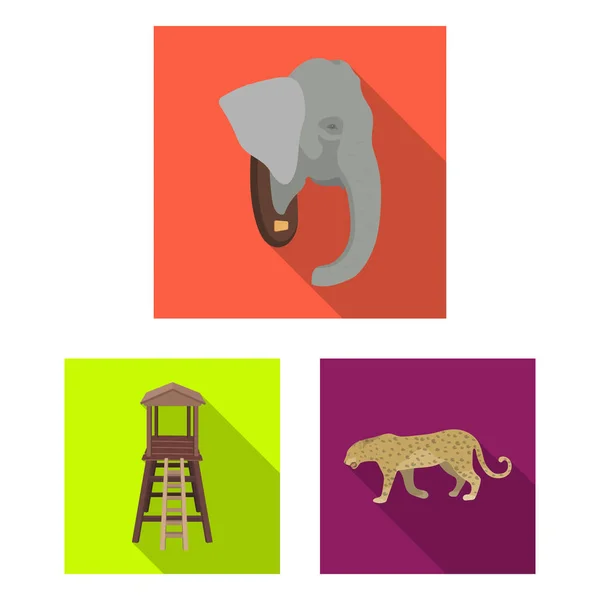 Africano Safari ícones planos em coleção de conjuntos para design. Troféus e equipamentos para ilustração web de símbolos vetoriais Safari . —  Vetores de Stock