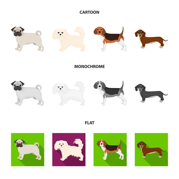 Kutyafajták rajzfilm, lapos, fekete-fehér ikonok beállítása gyűjtemény a design. Kutya kisállat vektor szimbólum állomány honlap illusztráció. — Stock Vector
