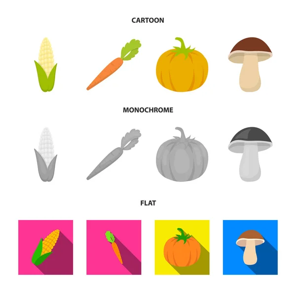 Maïs, carottes vitaminées avec dessus, citrouille, champignon forestier. Légumes ensemble icônes de la collection en dessin animé, plat, monochrome style vectoriel symbole illustration web . — Image vectorielle