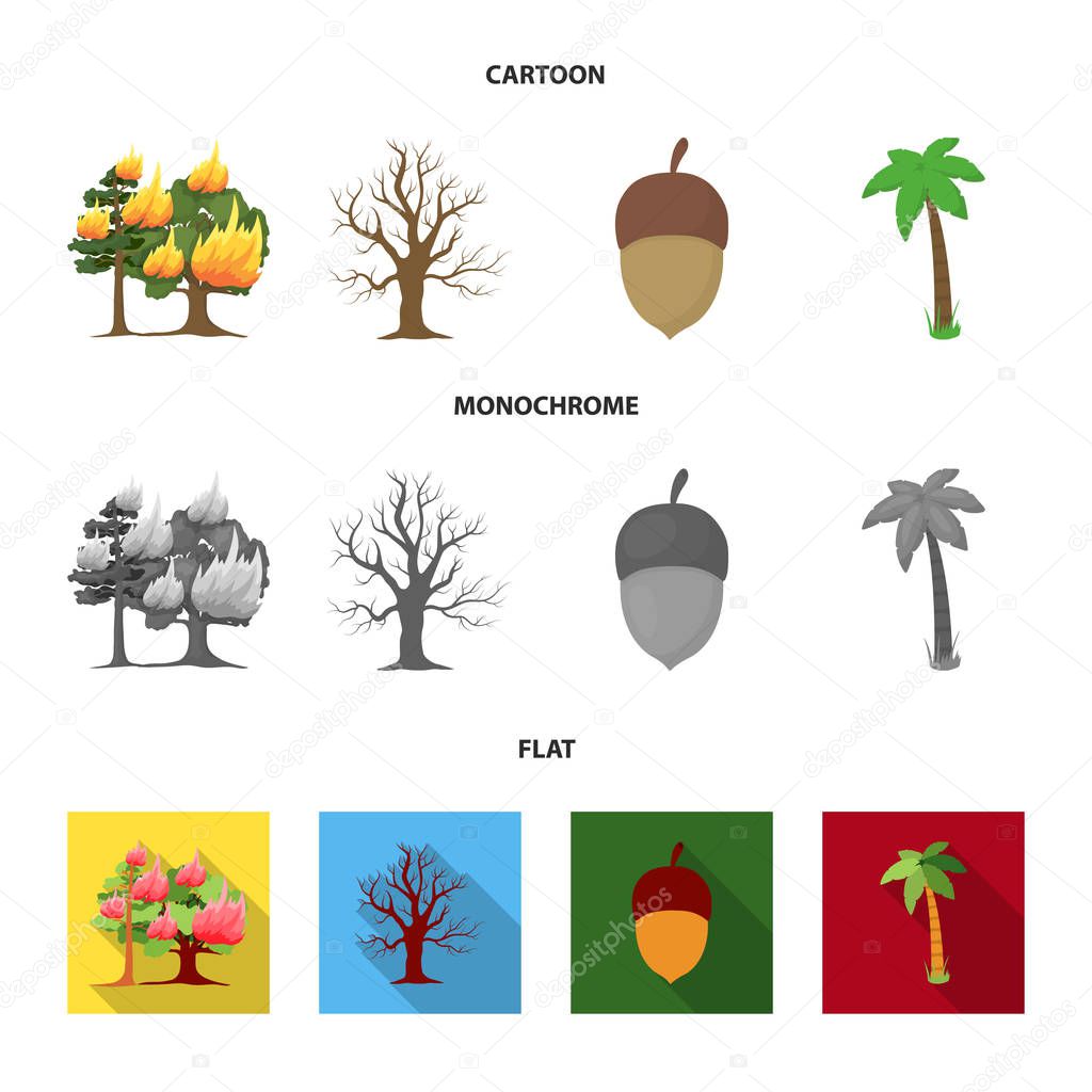 Burning tree, palm, acorn, dry tree.Forest set collection icons in cartoon,flat,monochrome style vector symbol stock illustration web.
