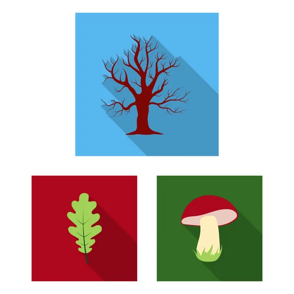 Δάσος και φύση επίπεδη εικονίδια στη συλλογή σετ για σχεδιασμό. Δάσος ζωή διάνυσμα σύμβολο μετοχής web εικονογράφηση. — Διανυσματικό Αρχείο