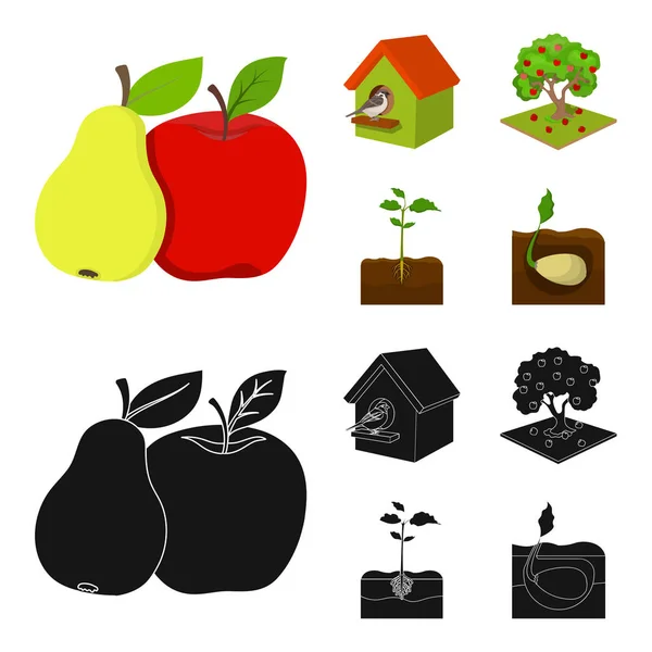 Garden, farming, nature and other web icon in cartoon, black style. Посадка, корневище, стебель, стебель в комплекте . — стоковый вектор