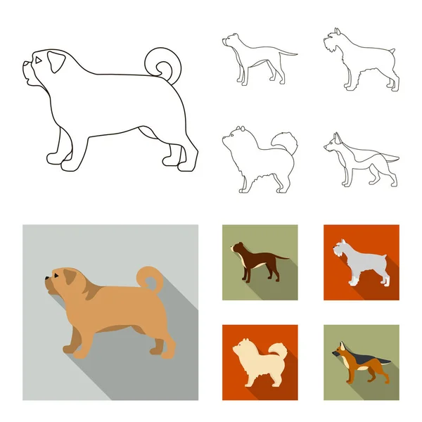 Grop tjur, Schäfer, chow chow, schnauzer. Hundraser som samling ikoner i disposition, platt stil vektor symbol stock illustration web. — Stock vektor