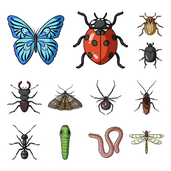 Different kinds of insects cartoon icons in set collection for design. Insect arthropod vector symbol stock web illustration. — Stock Vector