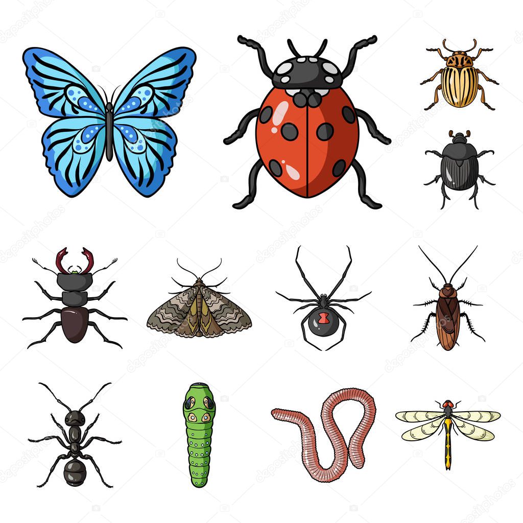 Different kinds of insects cartoon icons in set collection for design. Insect arthropod vector symbol stock web illustration.
