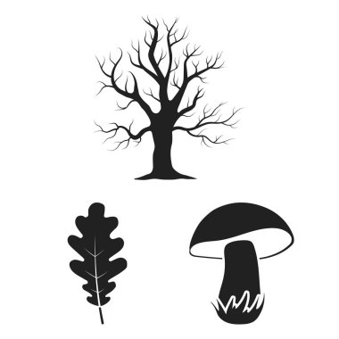 Set koleksiyonu tasarım için simgeler siyah orman ve doğa. Orman hayat vektör simge stok çizim.