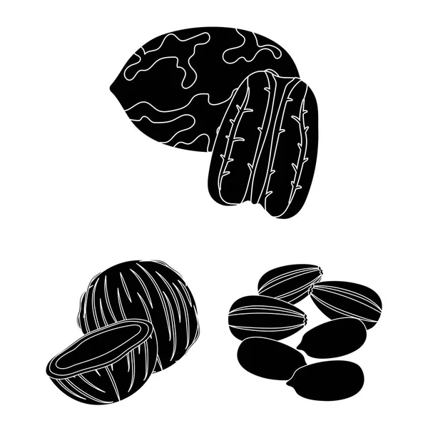 ナッツの種類は黒デザインのセットのコレクションのアイコンです。ナット食品ベクトル シンボル ストック web イラスト. — ストックベクタ
