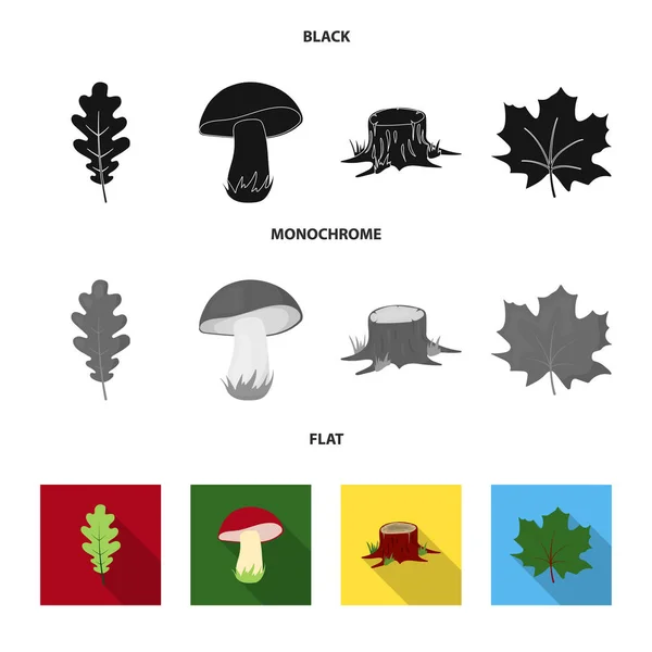Folha de carvalho, cogumelo, toco, folha de ácer. Conjunto de floresta ícones de coleção em preto, plano, estilo monocromático símbolo vetorial web ilustração estoque . —  Vetores de Stock