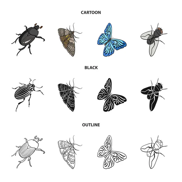 Arthropods insect beetle, moth, butterfly, fly. Insects set collection icons in cartoon,black,outline style vector symbol stock isometric illustration web. — Stock Vector