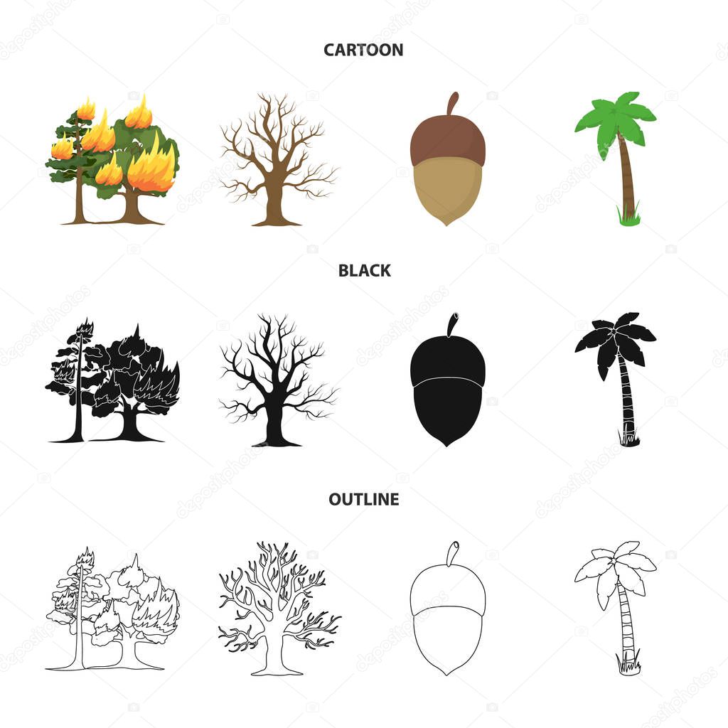 Burning tree, palm, acorn, dry tree.Forest set collection icons in cartoon,black,outline style vector symbol stock illustration web.
