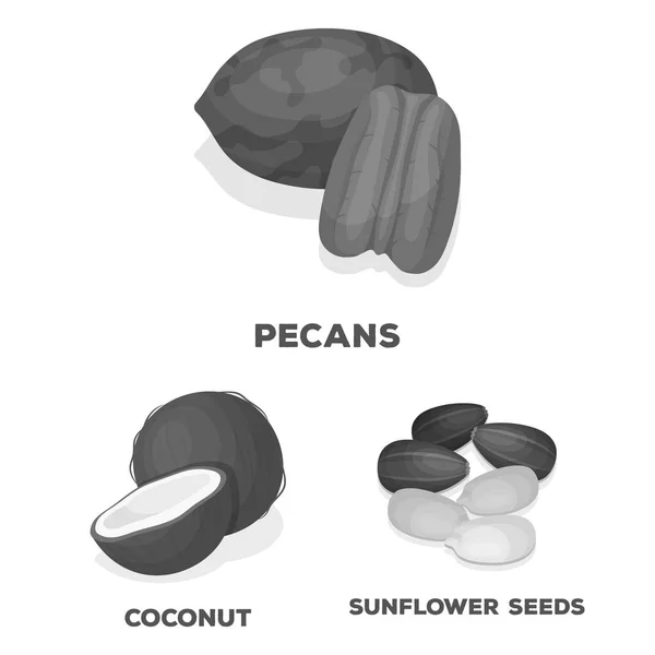 Olika sorters nötter svartvita ikoner i set samling för design. Nut mat vektor symbol lager web illustration. — Stock vektor