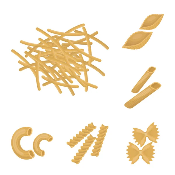 Tipos de iconos de dibujos animados de pasta en la colección de conjuntos para el diseño. Macarrones imaginados para comer vector símbolo stock web ilustración . — Vector de stock