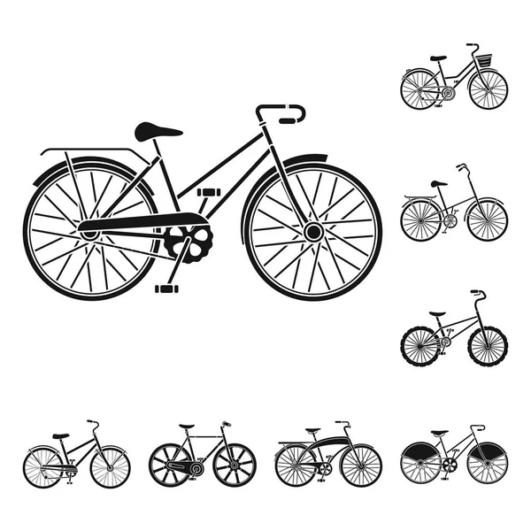 Varias bicicletas iconos negros en la colección de conjuntos para el diseño. El tipo de vector de transporte símbolo stock web ilustración . — Archivo Imágenes Vectoriales