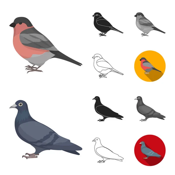 Типи птахів мультфільм, чорний, плоский, монохромний, контурні піктограми в наборі для дизайну. Домашній і дикий птах Векторний символ стокова веб-ілюстрація . — стоковий вектор