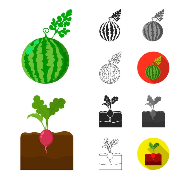 Plant, vegetable cartoon,black,flat,monochrome,outline icons in set collection for design. Garden and harvest vector symbol stock web illustration. — Stock Vector