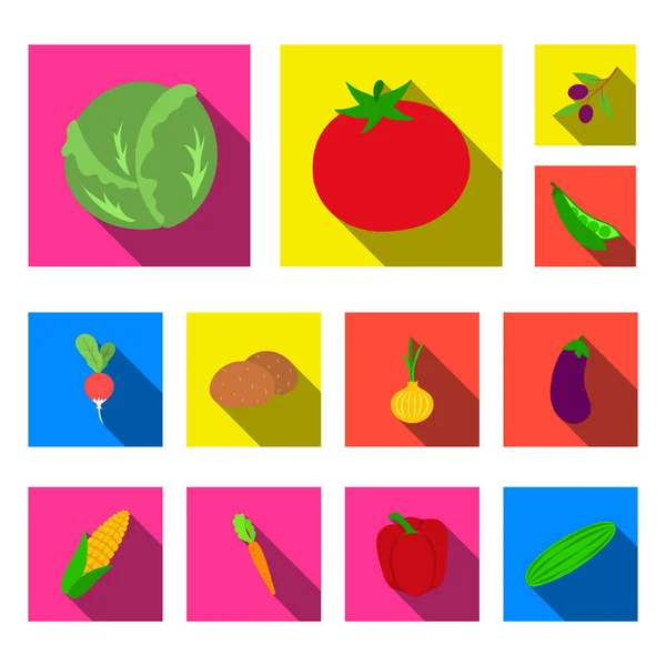 Diferentes tipos de vegetais ícones planos na coleção de conjuntos para design. Vegetais e vitaminas símbolo vetorial web ilustração . — Vetor de Stock