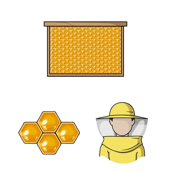 Apiario e apicoltura icone dei cartoni animati in collezione set per la progettazione. attrezzature e produzione di miele vettore simbolo stock web illustrazione . — Vettoriale Stock