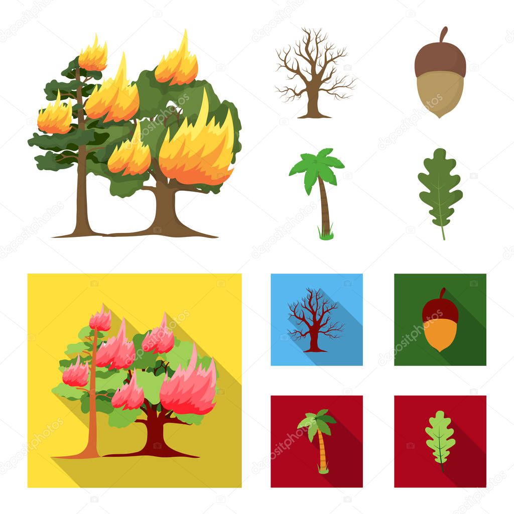 Burning tree, palm, acorn, dry tree.Forest set collection icons in cartoon,flat style vector symbol stock illustration web.