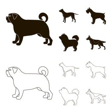 Çukur boğa, Alman çoban, chow chow, schnauzer. Köpek ırkları toplama simgeler siyah, anahat stili vektör simge stok çizim web içinde ayarla..