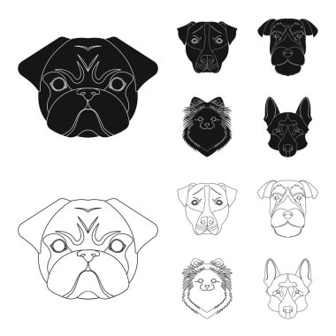 Farklı doğurmak-in köpek ağızlık. Köpek doğurmak Stafford, Spitz, Risenschnauzer, Alman çoban köpeği ayarlamak toplama simgeler siyah, anahat stili vektör simge stok çizim web içinde.