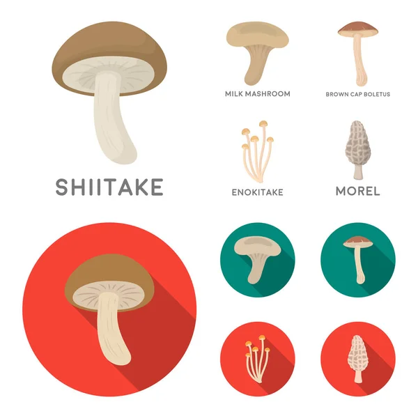 Shiitake, boletus marrón, enokitake, leche. conjunto de iconos de colección en dibujos animados, plano estilo vector símbolo stock ilustración web . — Archivo Imágenes Vectoriales