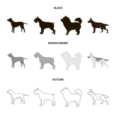 Çukur boğa, Alman çoban, chow chow, schnauzer. Köpek ırkları koleksiyonu Icons set siyah, tek renkli, anahat stili vektör simge stok çizim web.