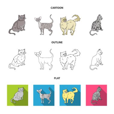 Farsça, Cornish rex ve diğer türler. Kedi doğurmak koleksiyonu Icons set çizgi film, anahat, düz stil vektör simge stok çizim .