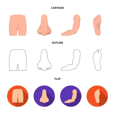 Kalça, burun, kol, ayak. Gövde bölümü koleksiyon Icons set çizgi film, anahat, düz stil vektör simge stok çizim web.