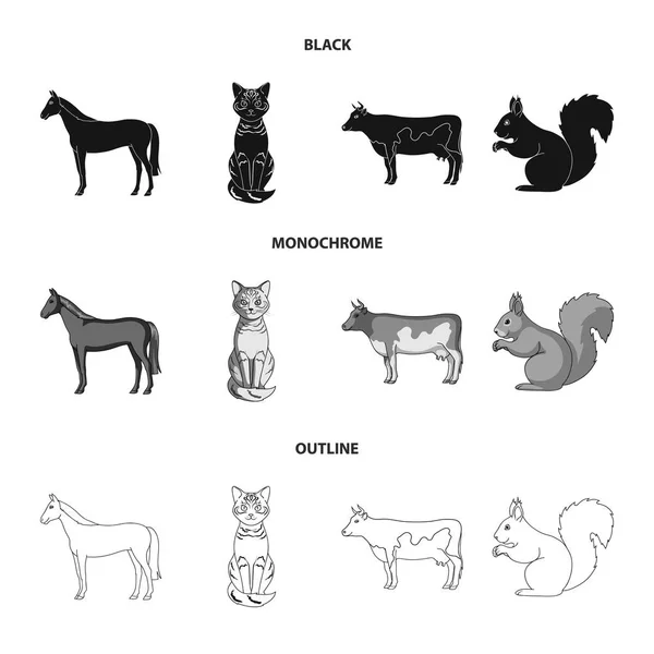 Cheval, vache, chat, écureuil et d'autres types d'animaux.Animaux mis icônes de la collection en noir, monochrome, contour de style vectoriel symbole illustration web . — Image vectorielle